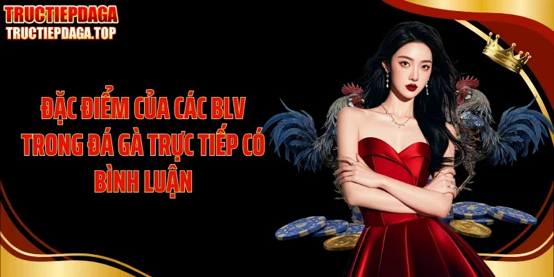Đặc điểm của các BLV trong đá gà trực tiếp có bình luận