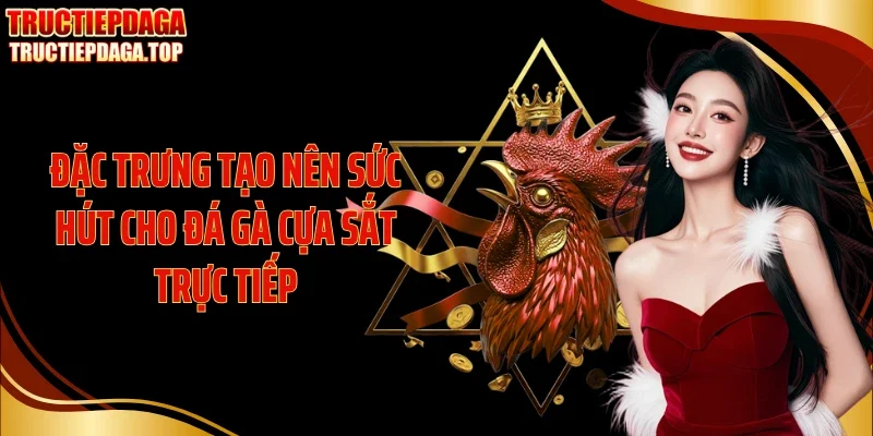 Đặc trưng tạo nên sức hút cho đá gà cựa sắt trực tiếp