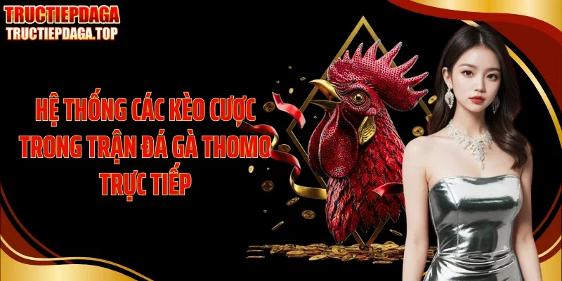 Hệ thống các kèo cược trong trận đá gà Thomo trực tiếp