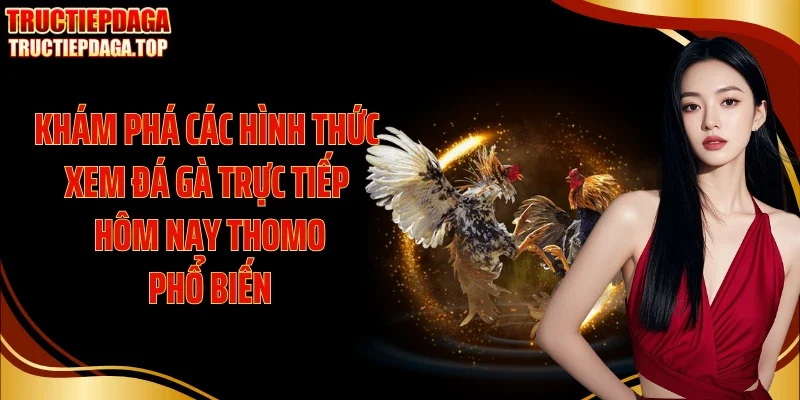 Khám phá các hình thức xem đá gà trực tiếp hôm nay Thomo phổ biến