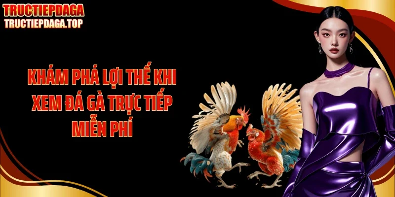 kham pha loi the khi xem da ga truc tiep mien phi Khám phá lợi thế khi xem đá gà trực tiếp miễn phí