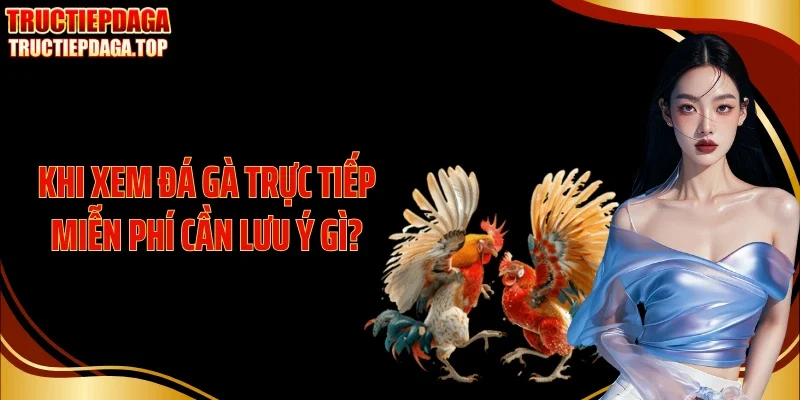 khi xem da ga truc tiep mien phi can luu y gi Khi xem đá gà trực tiếp miễn phí cần lưu ý gì?