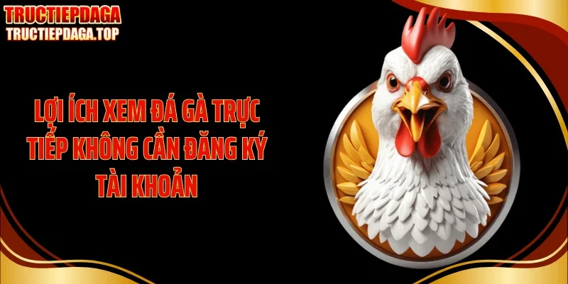 Lợi ích xem đá gà trực tiếp không cần đăng ký tài khoản