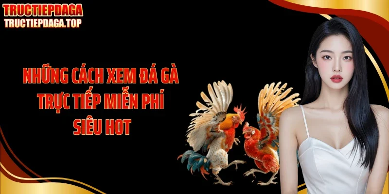 nhung cach xem da ga truc tiep mien phi sieu hot Những cách xem đá gà trực tiếp miễn phí siêu hot