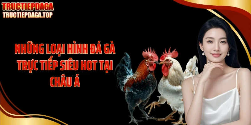 Những loại hình đá gà trực tiếp siêu hot tại châu Á