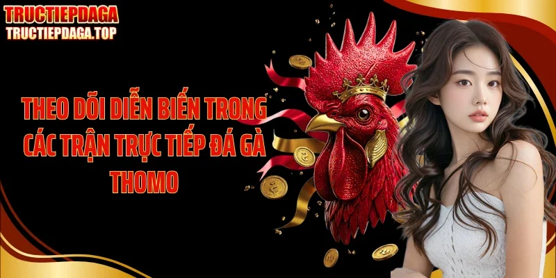 theo doi dien bien trong cac tran truc tiep da ga thomo Theo dõi diễn biến trong các trận trực tiếp đá gà Thomo
