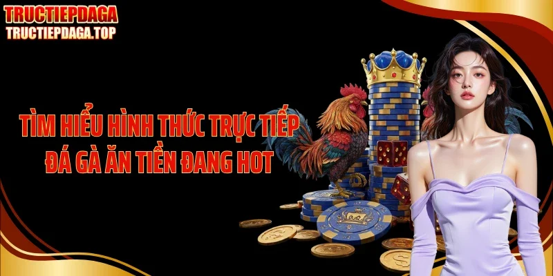 Tìm hiểu hình thức trực tiếp đá gà ăn tiền đang hot