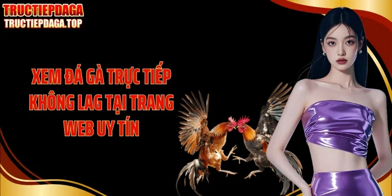 Xem đá gà trực tiếp không lag tại trang web uy tín