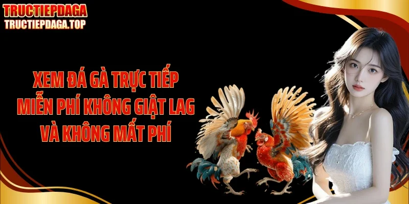 xem da ga truc tiep mien phi khong giat lag va khong mat phi Xem đá gà trực tiếp miễn phí không giật lag và không mất phí