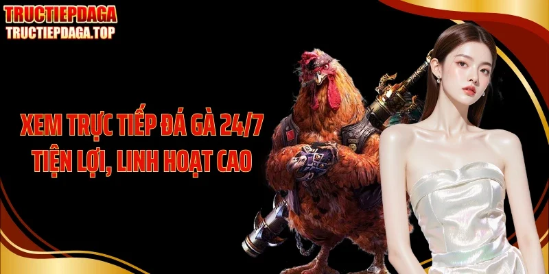 Xem trực tiếp đá gà 24/7 tiện lợi, linh hoạt cao
