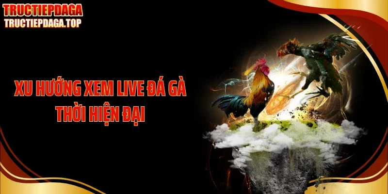 xu huong xem live da ga thoi hien dai Xu hướng xem live đá gà thời hiện đại