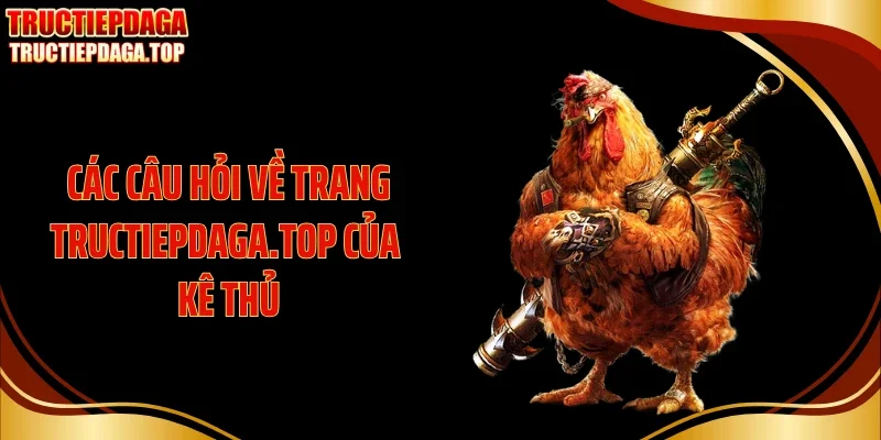 cac cau hoi ve trang tructiepdaga top cua ke thu Các câu hỏi về trang jianqiaokang.com.tw của kê thủ