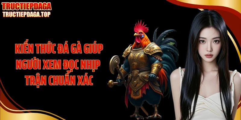 kien thuc da ga giup nguoi xem doc nhip tran chuan xac Kiến thức đá gà giúp người xem đọc nhịp trận chuẩn xác
