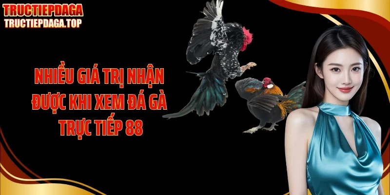 nhieu gia tri nhan duoc khi xem da ga truc tiep 88 Nhiều giá trị nhận được khi xem đá gà trực tiếp 88