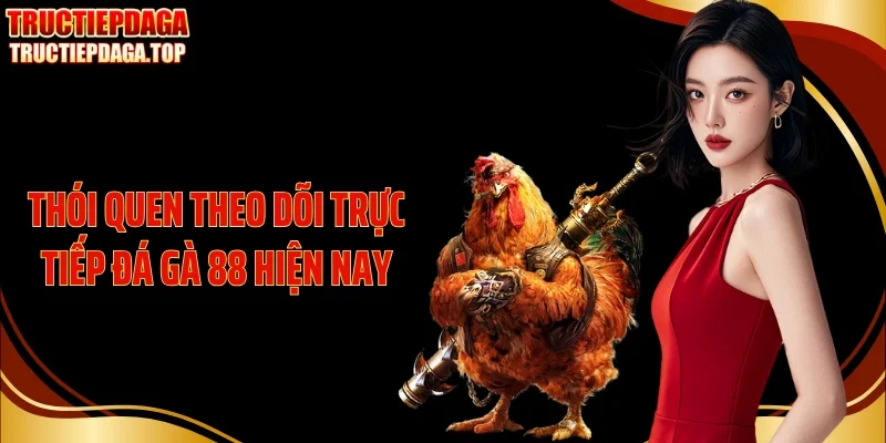 Thói quen theo dõi trực tiếp đá gà 88 hiện nay