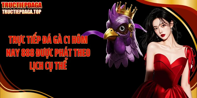 Trực tiếp đá gà C1 hôm nay 888 được phát theo lịch cụ thể