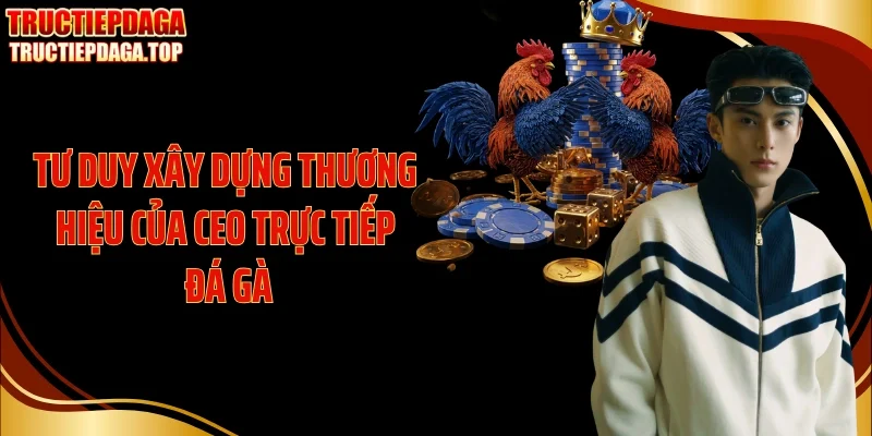 Tư duy xây dựng thương hiệu của CEO Trực tiếp đá gà