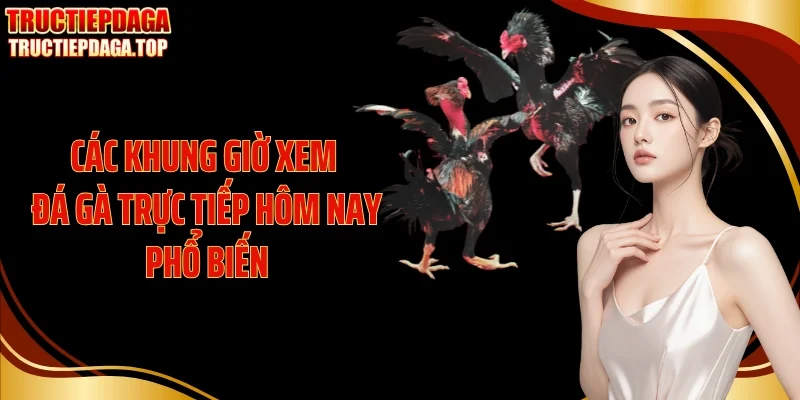 Các khung giờ xem đá gà trực tiếp hôm nay phổ biến