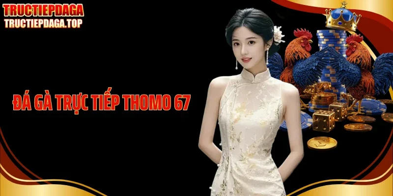 Đá Gà Trực Tiếp Thomo 67 Phát Sóng Chuẩn Nét, Vào Kèo Nhanh