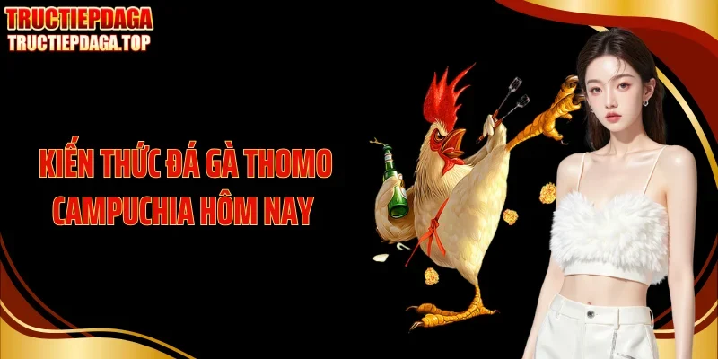 Kiến Thức Đá Gà Thomo Campuchia Hôm Nay Nên Bỏ Túi Ngay