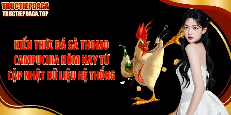 Kiến thức đá gà thomo Campuchia hôm nay từ cập nhật dữ liệu hệ thống