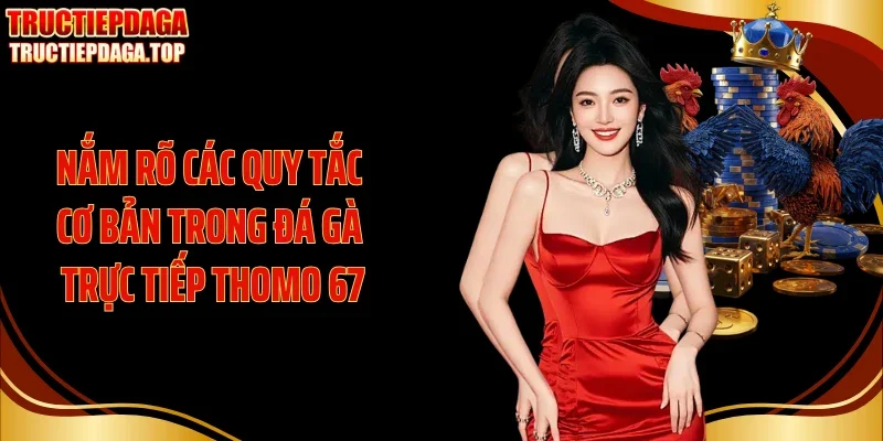 nam ro cac quy tac co ban trong da ga truc tiep thomo 67 Nắm rõ các quy tắc cơ bản trong đá gà trực tiếp thomo 67