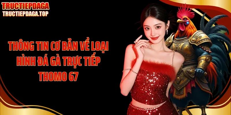 Thông tin cơ bản về loại hình đá gà trực tiếp Thomo 67