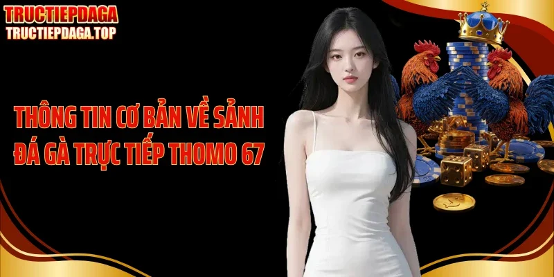 thong tin co ban ve sanh da ga truc tiep thomo 67 Thông tin cơ bản về sảnh đá gà trực tiếp Thomo 67