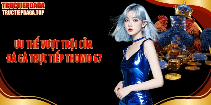uu the vuot troi cua da ga truc tiep thomo 67 Ưu thế vượt trội của đá gà trực tiếp thomo 67